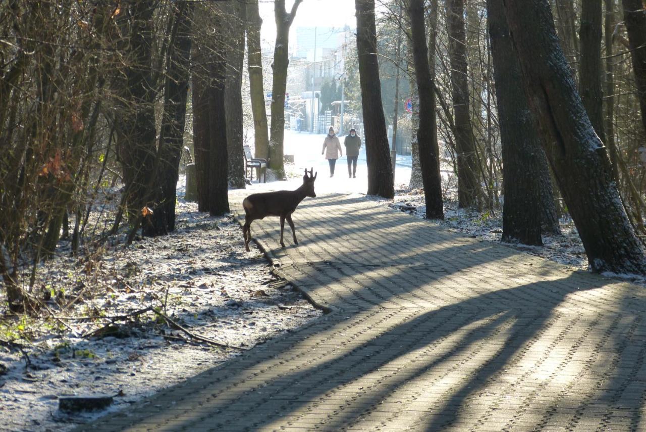 Apartament Perelka Grzybowo  Exteriér fotografie